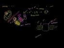 Electron Transport Chain Electron Transport Chain