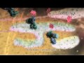 Апоптоз - Apoptosis Апоптоз - Apoptosis